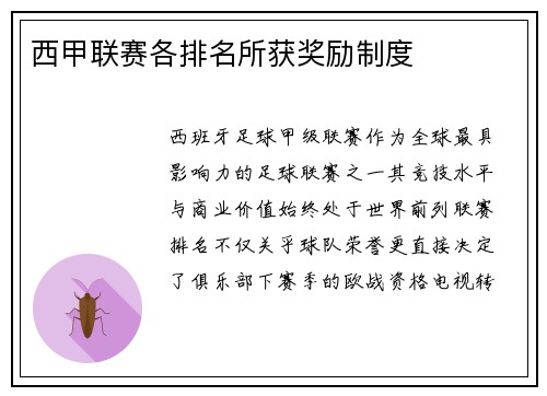 西甲联赛各排名所获奖励制度